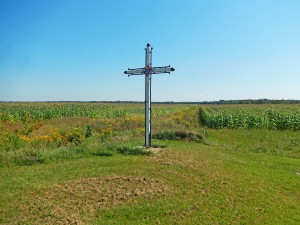 DSCN2112