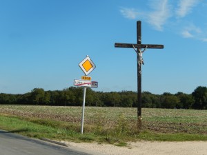 DSCN2119