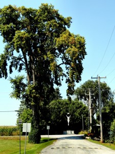 # upton 608 rang de la carrière Gérald Arbour N20