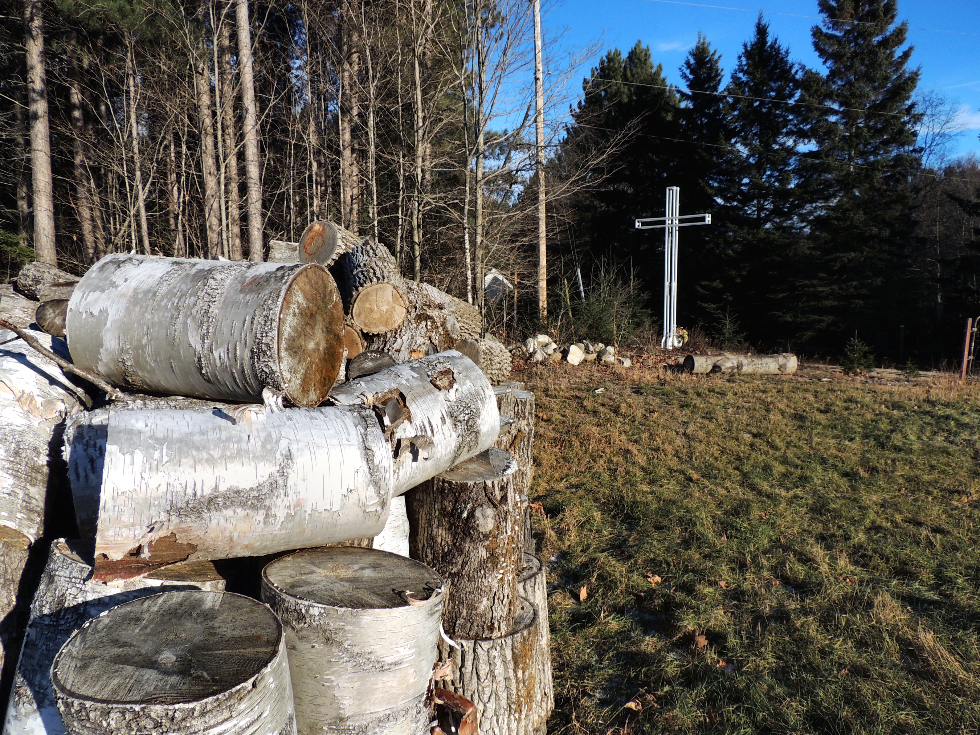 # ripon 31 montée larocque Gérald Arbour N3