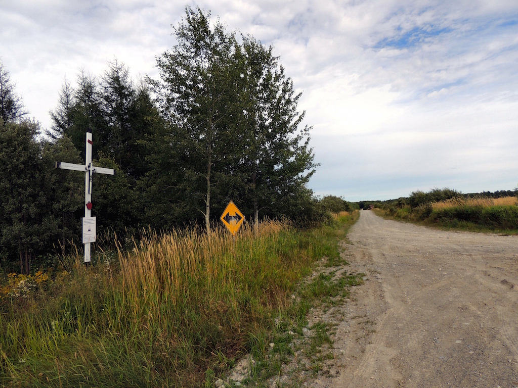 # sainte-gertrude-manneville (manneville) rang 10 et rang 1 Gérald Arbour N5