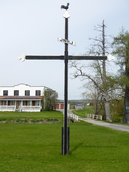 6-DSCN3303