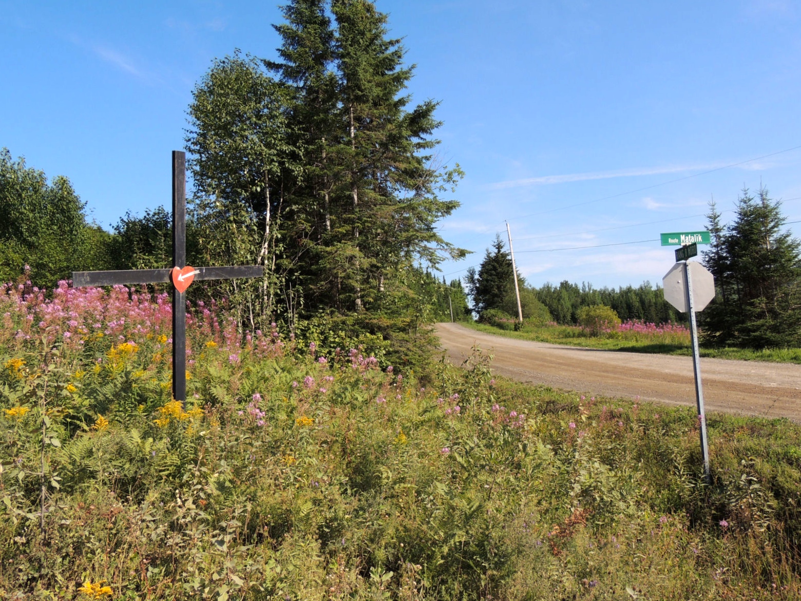 # albertville rang 8 nord et route matalik Gérald Arbour N3