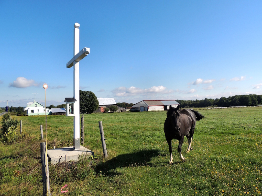 # saint-georges-de-beauce (saint-jean-de-la-lande) face au 540 rang de la montagne Gérald Arbour N10