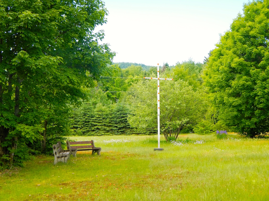 DSCN5482
