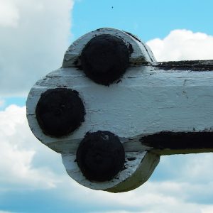 DSCN4390