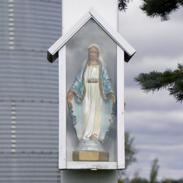 vierge 7