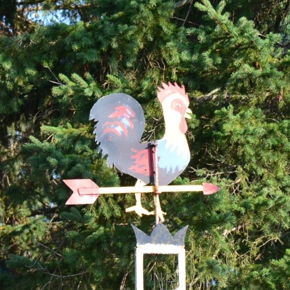 st-jude
